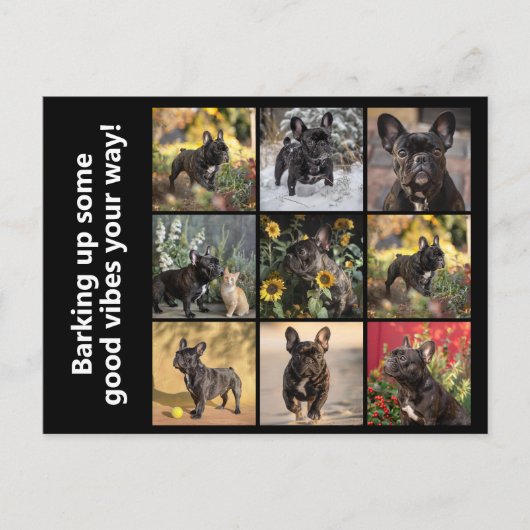 独自9 x写真+文字 ポストカード (正面)