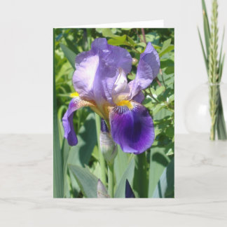 独身ので完全なアイリス カード