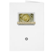 独身ので白いオランダカイウユリ (裏面)