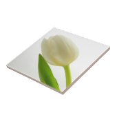 独身ので白いチューリップ タイル (側面)