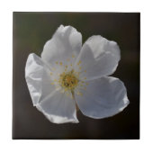 独身ので白い花 タイル (正面)
