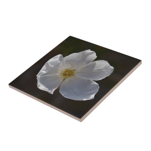 独身ので白い花 タイル (側面)