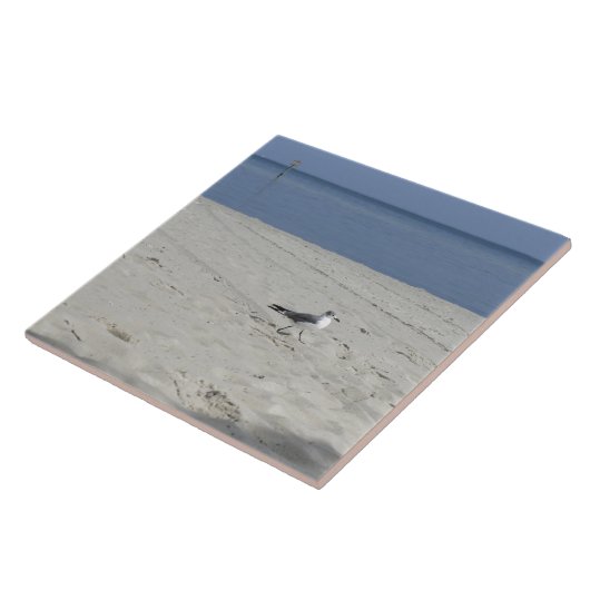 独身のなカモメ タイル (側面)