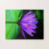 独身のなスイレン ジグソーパズル (横)