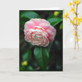 独身のなツバキの開花 カード (黄色い花)