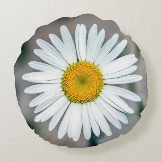 独身のなデイジーの花の円形の枕 ラウンドクッション (裏面)
