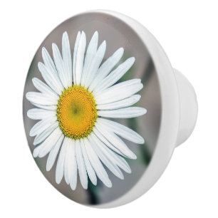 独身のなデイジーの花の陶磁器のノブ セラミックノブ