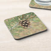 独身のなマツ円錐形のコースター コースター (左側)