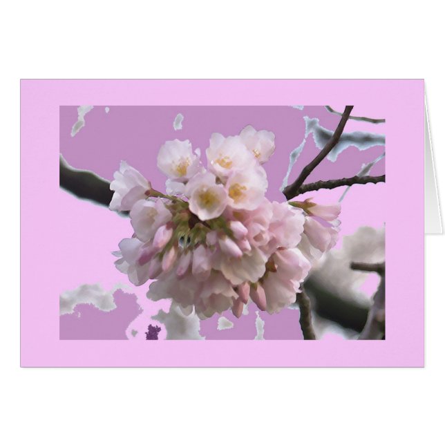 独身のな桜 (正面横)