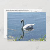 独身のな白鳥の郵便はがき ポストカード (正面/裏面)