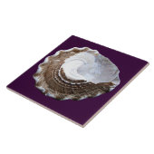 独身のな貝のタイル タイル (側面)