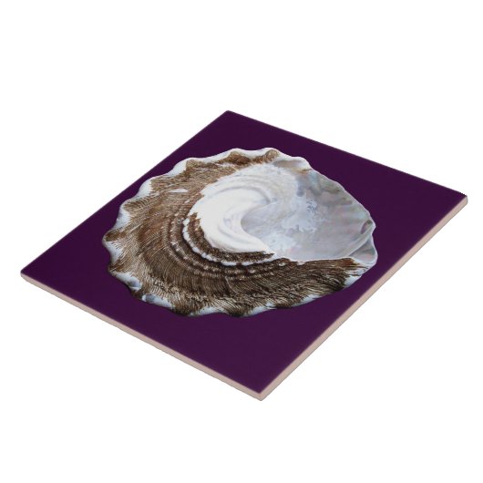 独身のな貝のタイル タイル (側面)