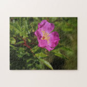 独身のな野生は上がりました ジグソーパズル (横)