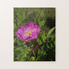 独身のな野生は上がりました ジグソーパズル