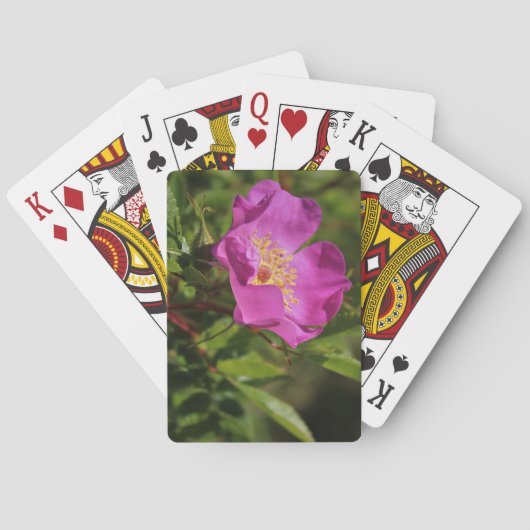 独身のな野生は上がりました トランプ (裏面)