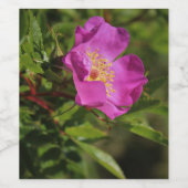 独身のな野生は上がりました ワインラベル (シングルラベル)