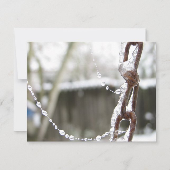 独身のな鎖および真珠 (正面)