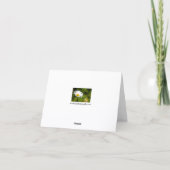 独身のデイジーグリーティングカード カード (裏面)