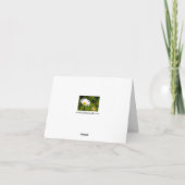 独身のデイジーグリーティングカード カード (裏面)