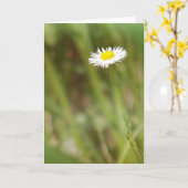 独身のデイジーグリーティングカード カード (黄色い花)