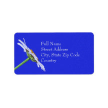 独身のデイジーフラワーオンキャンバカスタムス