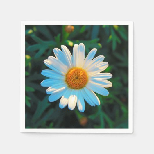 独身のデイジー スタンダードカクテルナプキン (正面)