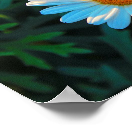 独身のデイジー ポスター (角)