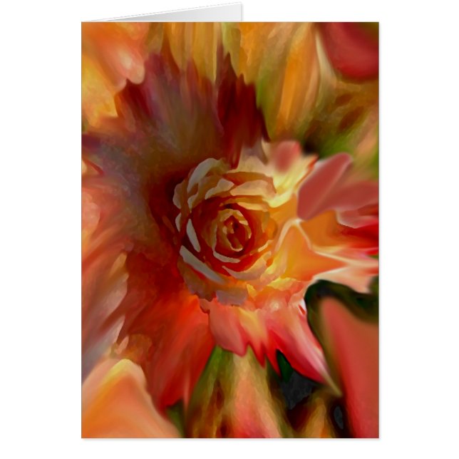 独身のバラ (正面)