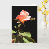 独身のバラ-a カード (黄色い花)