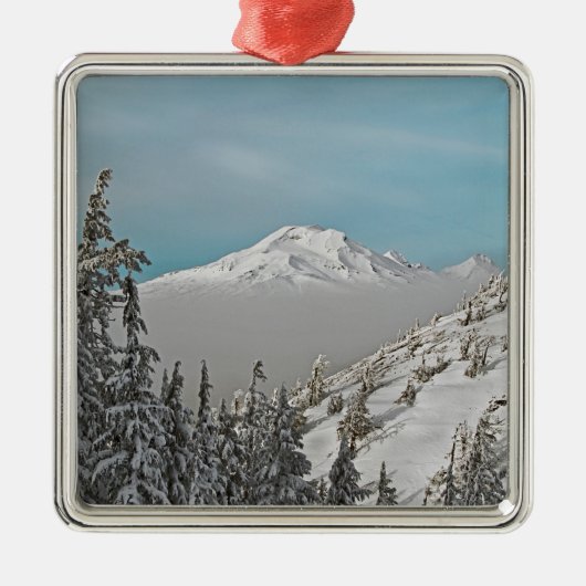 独身のビュート-テキスト無しからの3人の姉妹 メタルオーナメント (正面)