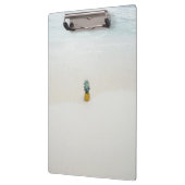 独身のビーチのパイナップル クリップボード (左)