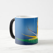 独身の花2 モーフィングマグカップ (正面左)