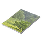 独身の農耕地の木,トスカーナ, 2 ノートパッド (回転)