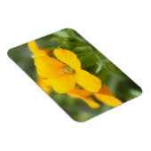 独身の開花 – ウォーフラワー マグネット (右側)