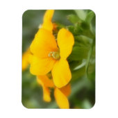 独身の開花 – ウォーフラワー マグネット (縦)