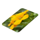 独身の開花 – ウォーフラワー マグネット (左側)