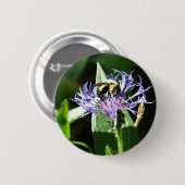 独身ボタンののまわりに、 缶バッジ (正面&裏面)