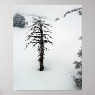 独身山の古木 ポスター