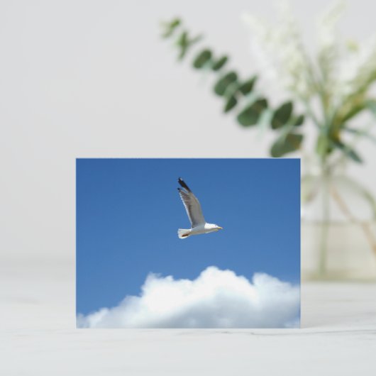 独飛んでいるりはがき ポストカード (スタンド正面)