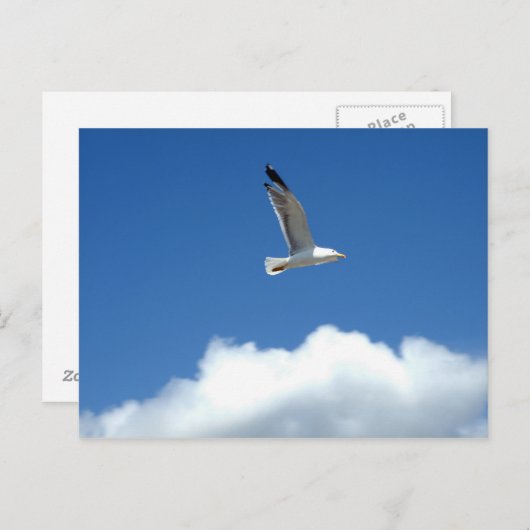 独飛んでいるりはがき ポストカード (正面/裏面)