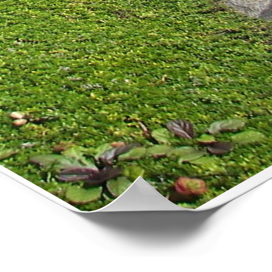 狭い道 ポスター (角)