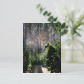 狼と一緒に行った ポストカード (スタンド正面)