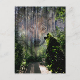 狼と一緒に行った ポストカード