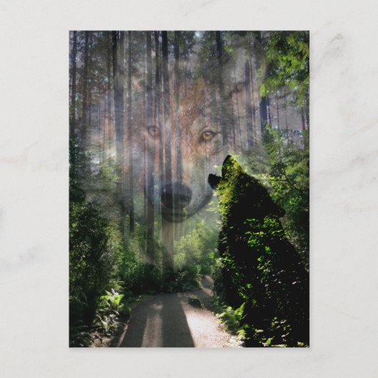 狼と一緒に行った ポストカード (正面)