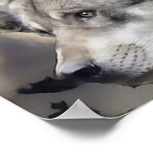 狼と魔法の光を持つ神秘的なゴシック様式の少女 ポスター (角)