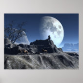 狼にする ポスター (正面)