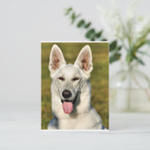 狼のように孤独な ポストカード (スタンド正面)