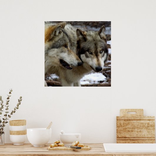 狼の会話 ポスター (キッチン)