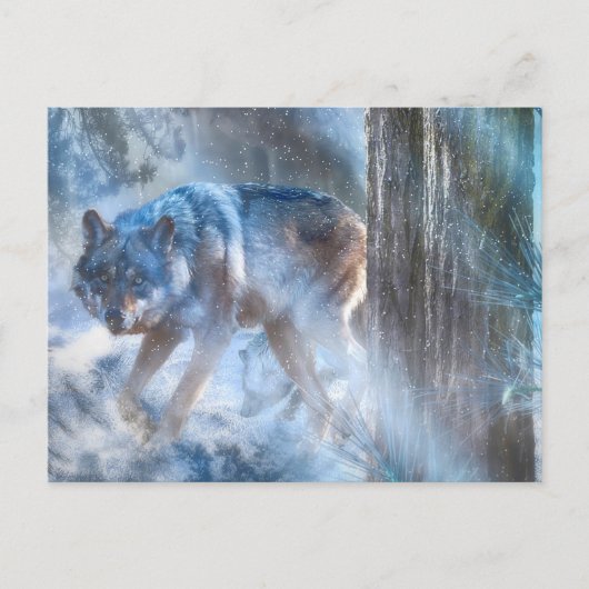 狼の灰色 ポストカード (正面)