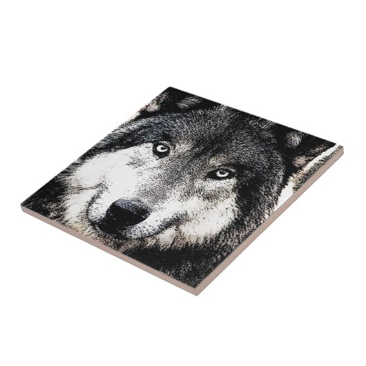 狼の目 タイル (側面)